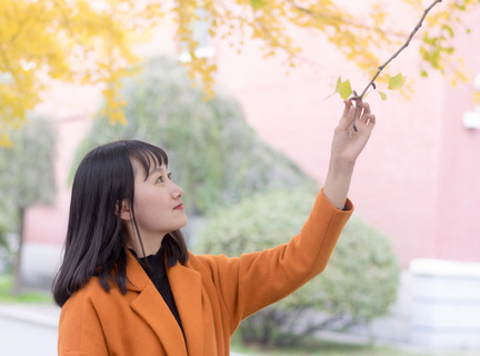 菲律宾退休移民重开，是不是就能办理菲律宾签证了